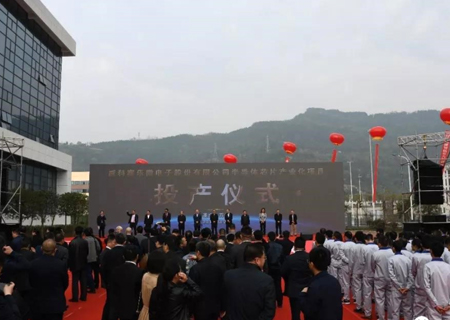 威科賽樂微電子股份有限公司半導(dǎo)體芯片產(chǎn)業(yè)化項(xiàng)目投產(chǎn)儀式